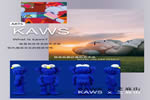 思诺尔家木门 | 我“门”将当代艺术中的顶流IP “KAWS” 搬回家